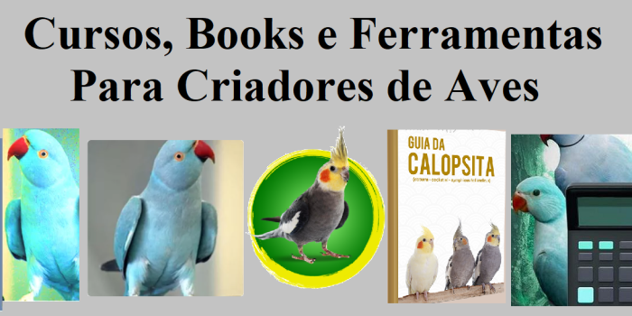 Cursos, e-books e ferramentas para Criadores